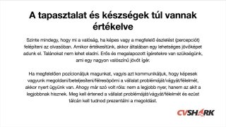 Az aranycsinálás művészete - a pályázati anyag megírása II. rész