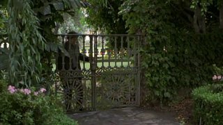 A múzsa csókja - filmjelenet elemzés (bónusz)